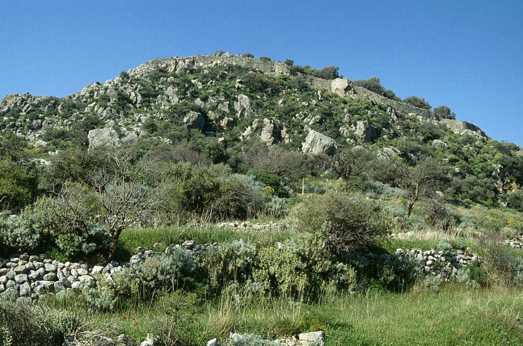 Macchia landscape in Greece