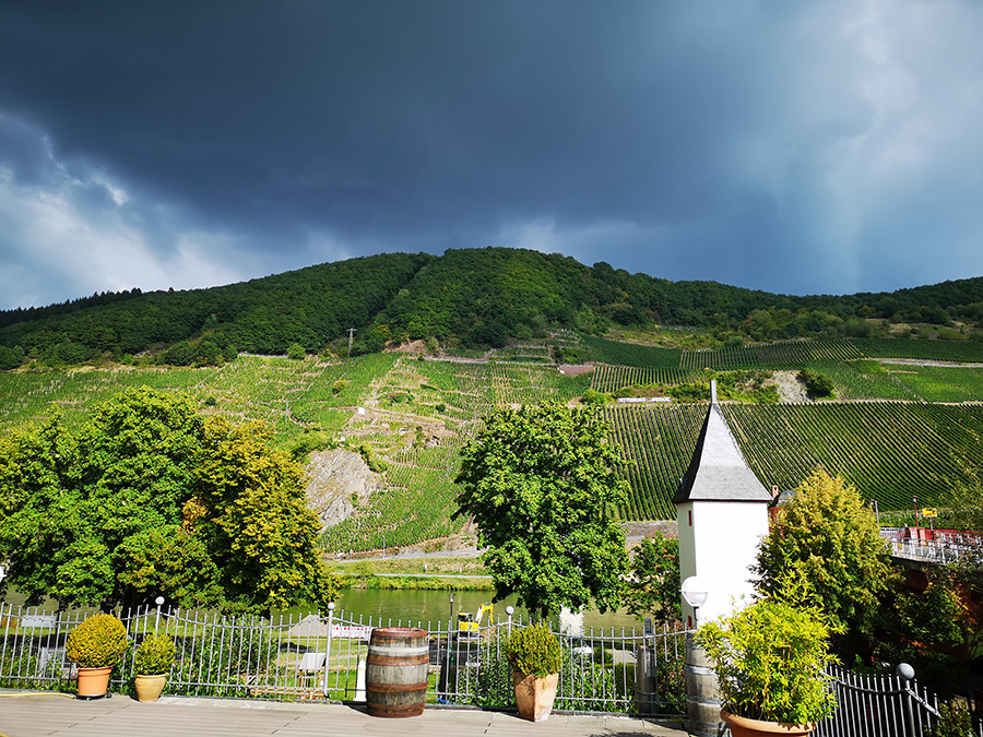 Village on the Moselle