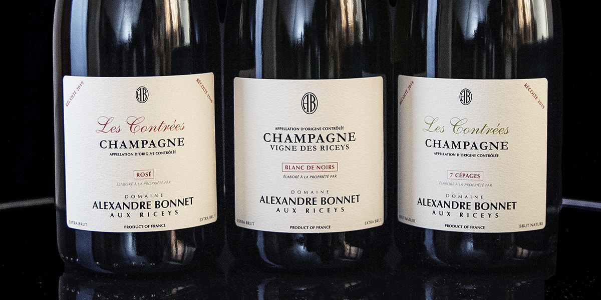 Portrait: Domaine Alexandre Bonnet - Sur-la-pointe